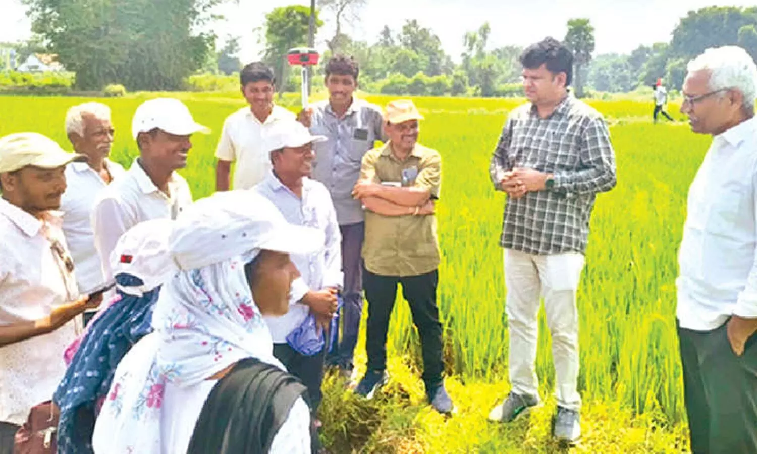 Oil palm farmers told to conserve water Oil palm farmers told to conserve water