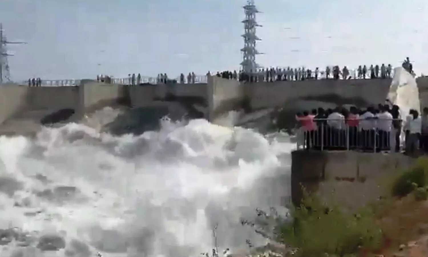 Release of water brings relief to farmers in Telangana Release of water brings relief to farmers in Telangana