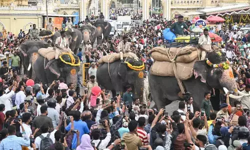 Tusker Prashantha to carry golden howdah at Mysuru Dasara