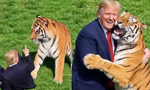 In bizarre AI video, Trump plays with tiger that killed UK man In bizarre AI video, Trump plays with tiger that killed UK man