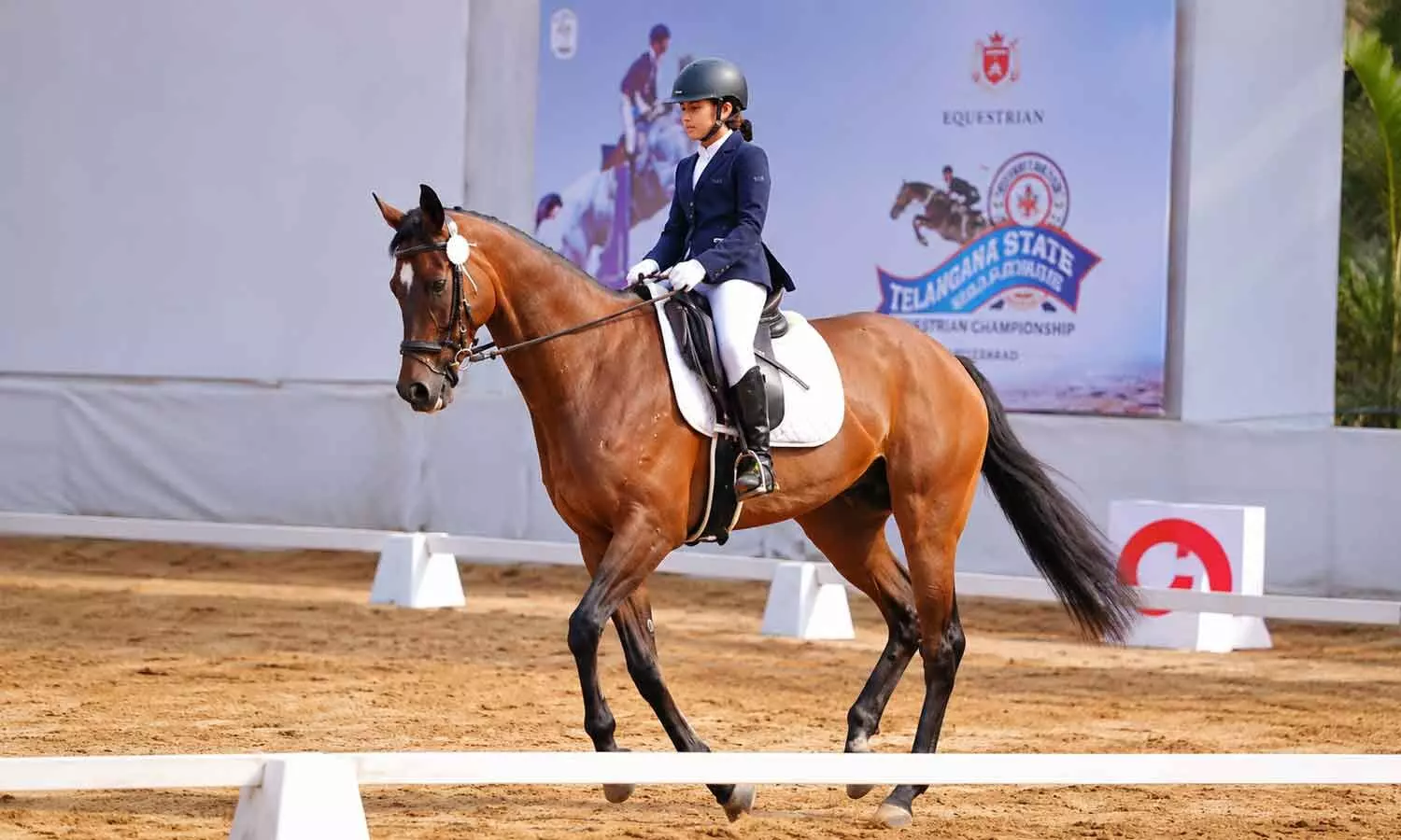 Anet Salomi Castilino emerges as the standout performer, scoring 71.61% on Bella in Children I Dressage Anet Salomi Castilino emerges as the standout performer, scoring 71.61% on Bella in Children I Dressage