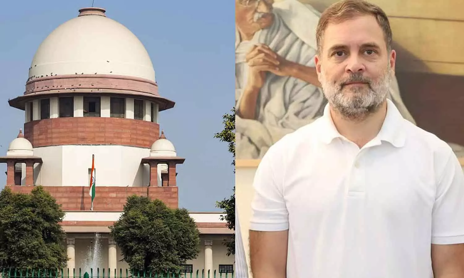 SC agrees to hear plea alleging Rahul pushed pregnant scribe SC agrees to hear plea alleging Rahul pushed pregnant scribe