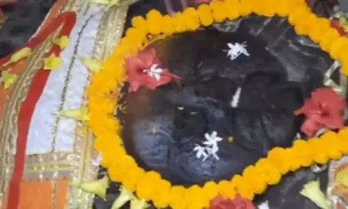 While Dussehra celebrations across the country traditionally culminate in the burning of Ravana’s effigies