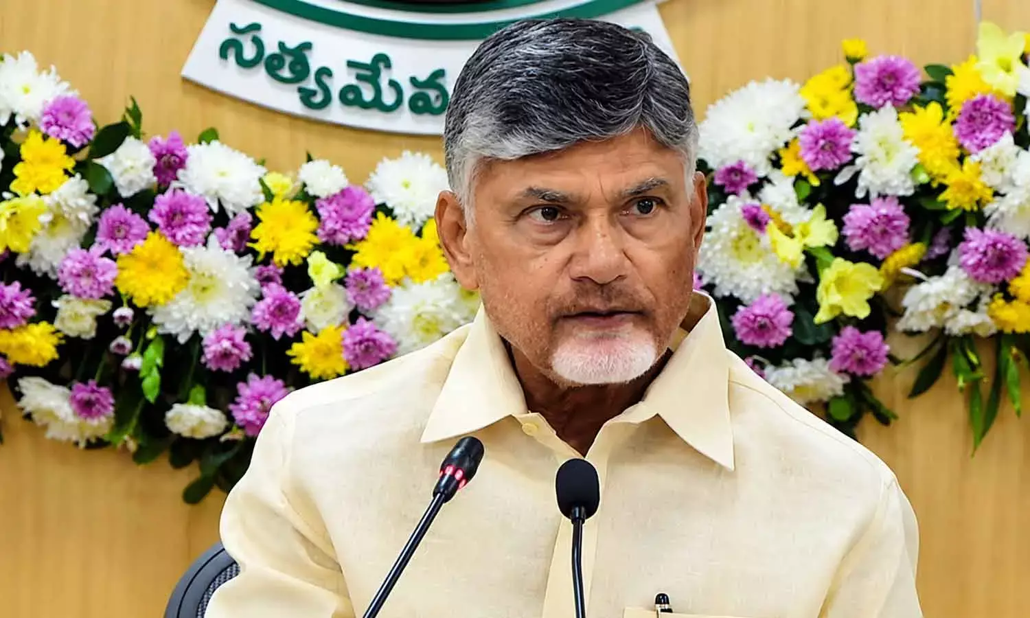 Chief Minister N Chandrababu Naidu
