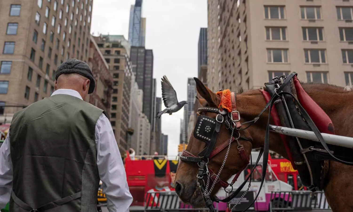 Facing a ban on horse-drawn carriages, Central Parks drivers fear for their livelihoods Facing a ban on horse-drawn carriages, Central Parks drivers fear for their livelihoods
