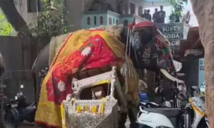 Ramalinga Reddy calls for strict guidelines for elephants at public events Ramalinga Reddy calls for strict guidelines for elephants at public events