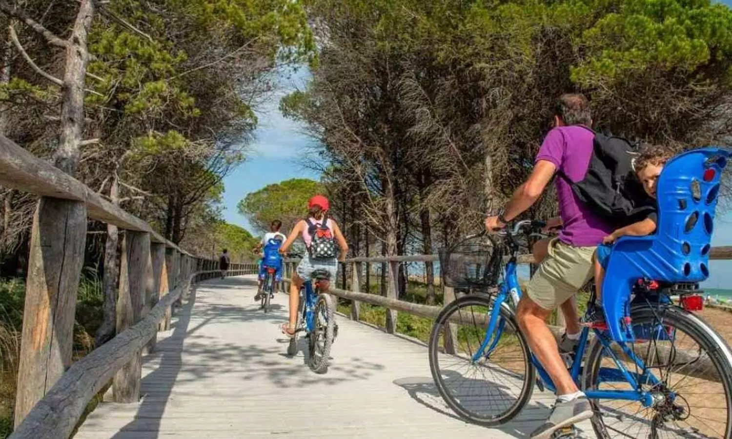 DDA plans 24-km cycling track along Yamuna banks DDA plans 24-km cycling track along Yamuna banks