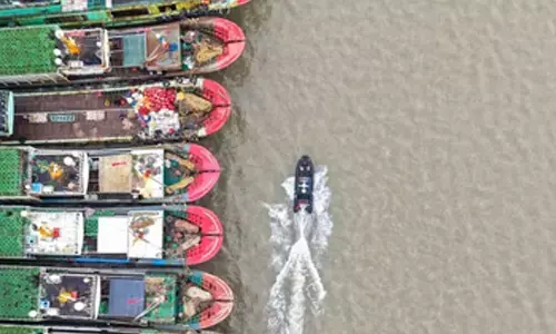 Typhoon Champi: Taiwan shuts schools, offices in 20 cities and counties; hundreds of flights cancelled