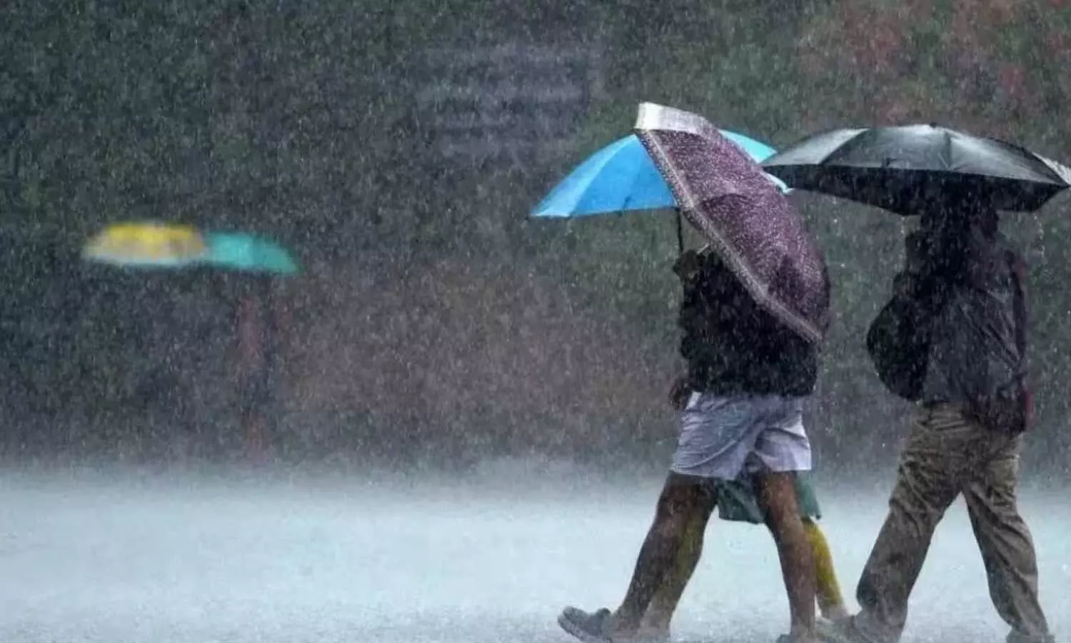 IMD warns of heavy rainfall over several districts IMD warns of heavy rainfall over several districts