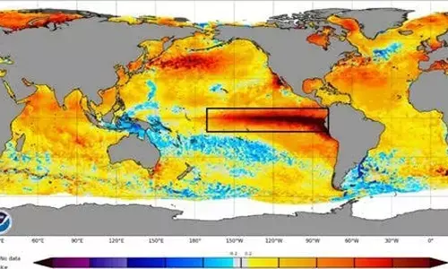 Pacific Ocean temperatures touch 30°C for first time