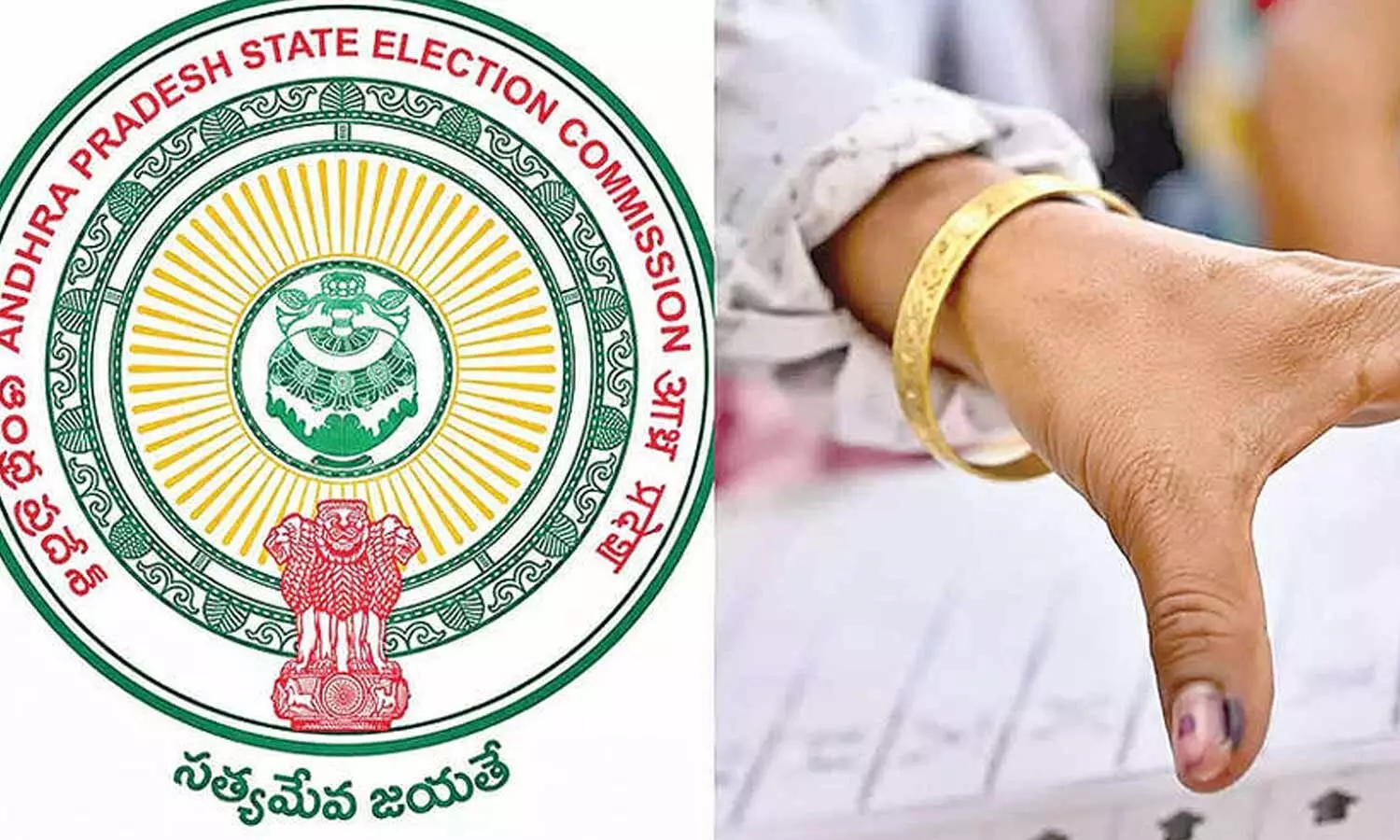 Over 46,000 candidates in fray for 9,829 MPTC seats Over 46,000 candidates in fray for 9,829 MPTC seats