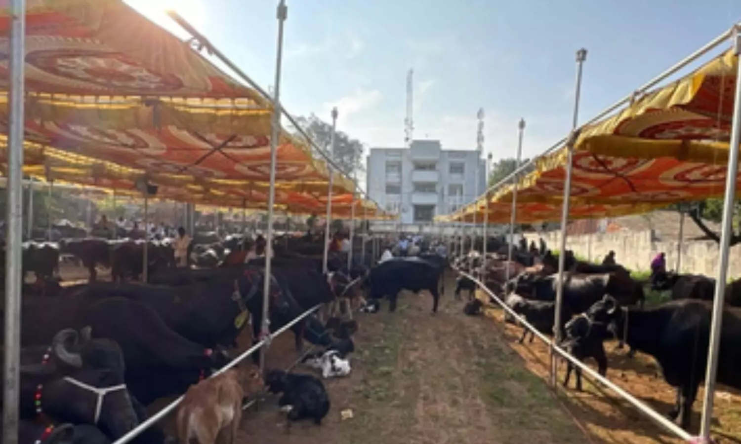 state governments Integrated Dairy Development Scheme state governments Integrated Dairy Development Scheme