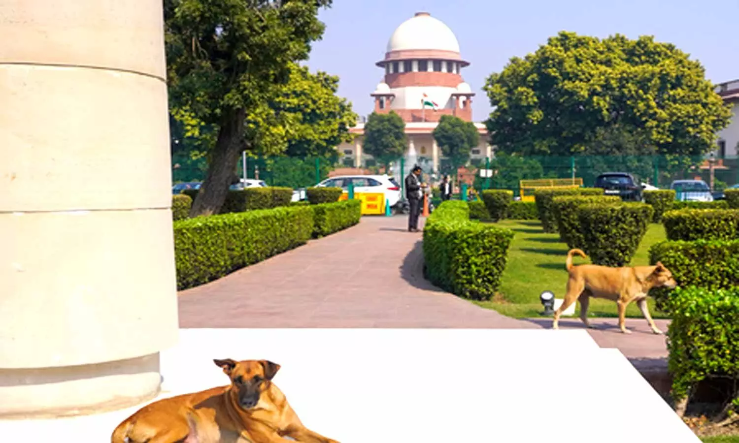 CBI withdraws pleas in SC seeking transfer of 2021 Bengal post-poll violence cases CBI withdraws pleas in SC seeking transfer of 2021 Bengal post-poll violence cases