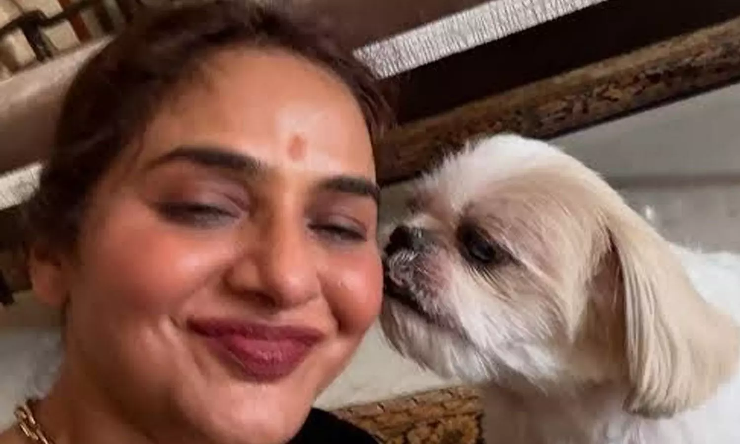 Madhoo urges people to spare animals the trauma of firecrackers this Diwali Madhoo urges people to spare animals the trauma of firecrackers this Diwali