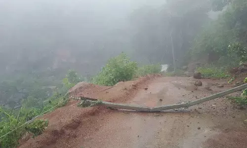 Newly erected electricity poles were collapsed due to heavy rain on Monday night near Bodduvalasa village