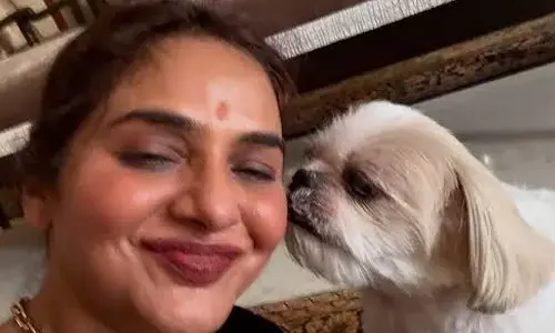 Madhoo urges people to spare animals the trauma of firecrackers this Diwali