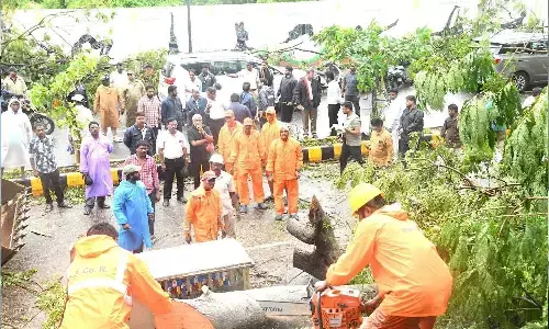 Restoration teams clearing fallen trees in Visakhapatnam Restoration teams clearing fallen trees in Visakhapatnam