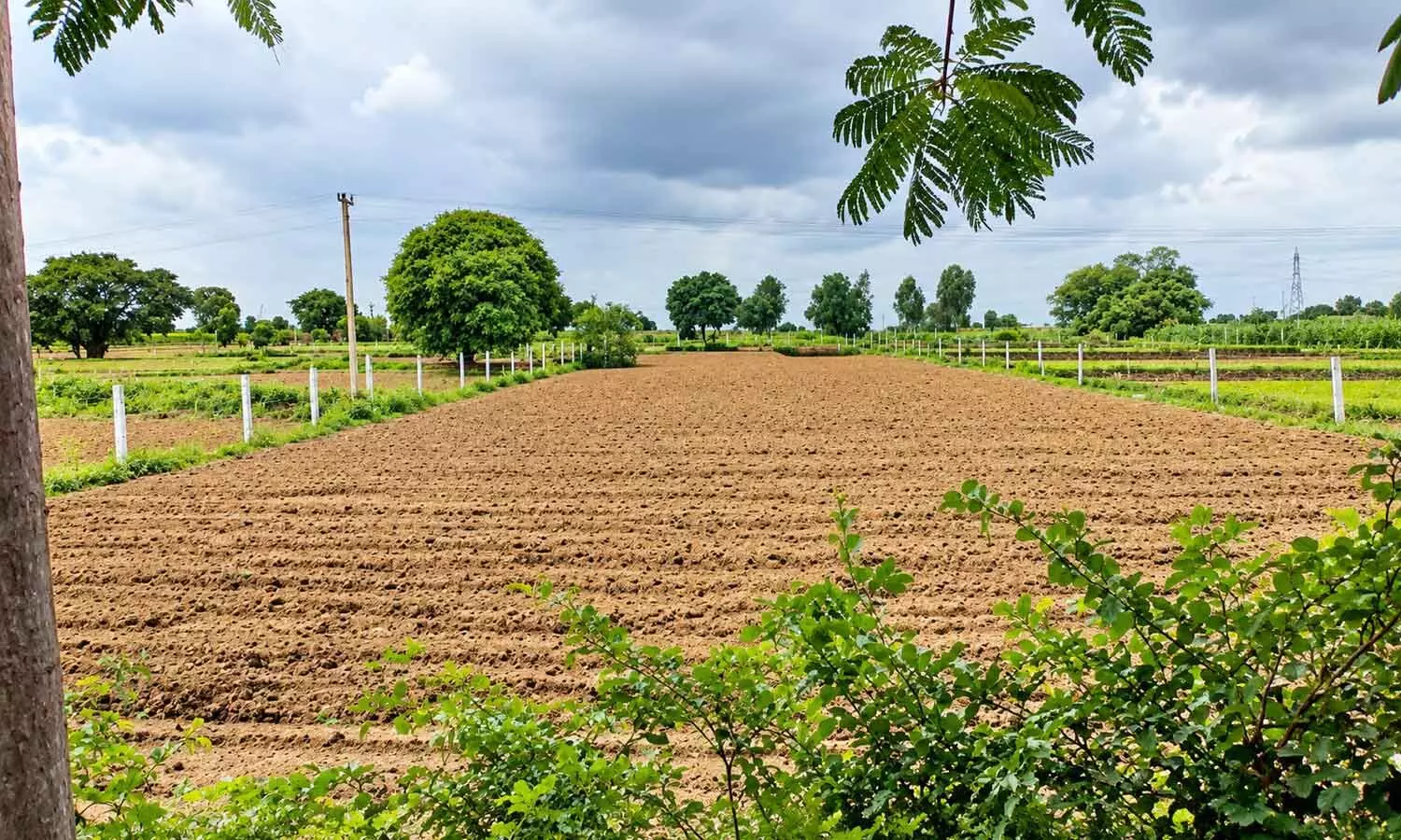 Supreme Court verdict clears way for Miyapur land takeover Supreme Court verdict clears way for Miyapur land takeover