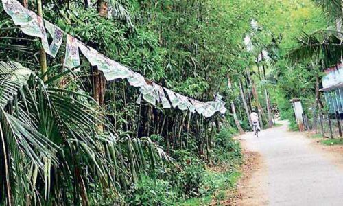 Officials to keep strict vigil in AP-Odisha border villages