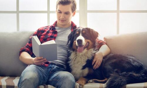 Home chemical pollutants degrade fertility in men and dogs