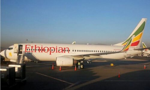 India bans Boeing 737 Max 8 planes in light of Ethopian airlines crash