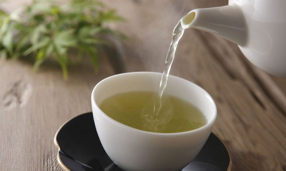 Green tea helps combat obesity, inflammation