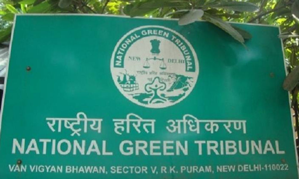 NGT seeks quarterly report on solid waste management