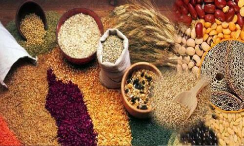 Organic & millets expo from today