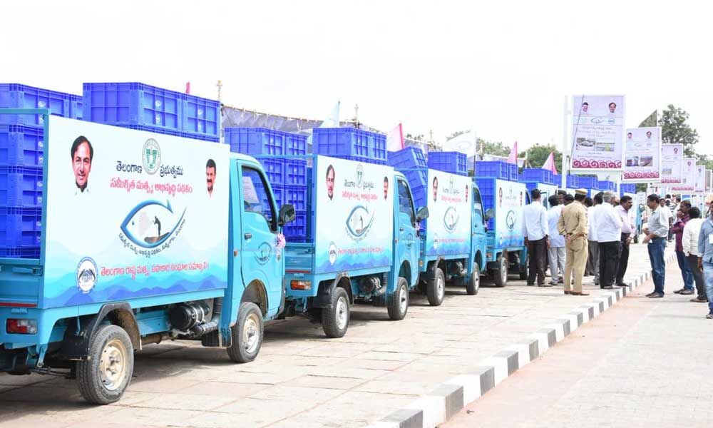Dont use fishermen vehicles for polls