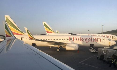 Boeing stops deliveries of their MAX 737 model in wake of crash