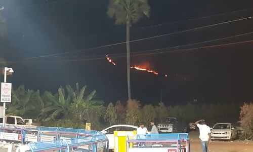 The forest cover is burning on Undavalli hill near Chandrababu Naidus residence