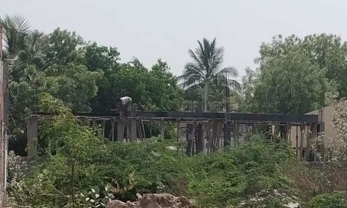 Valuable vacant land encroached