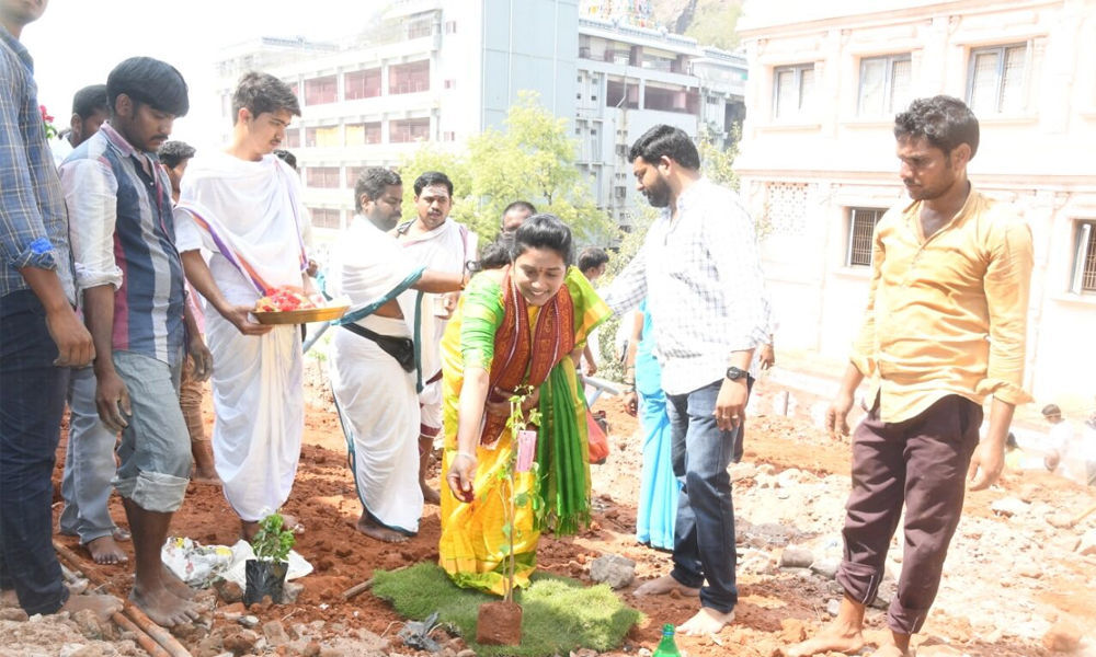 Green initiative at Durga temple begins in Vijayawada