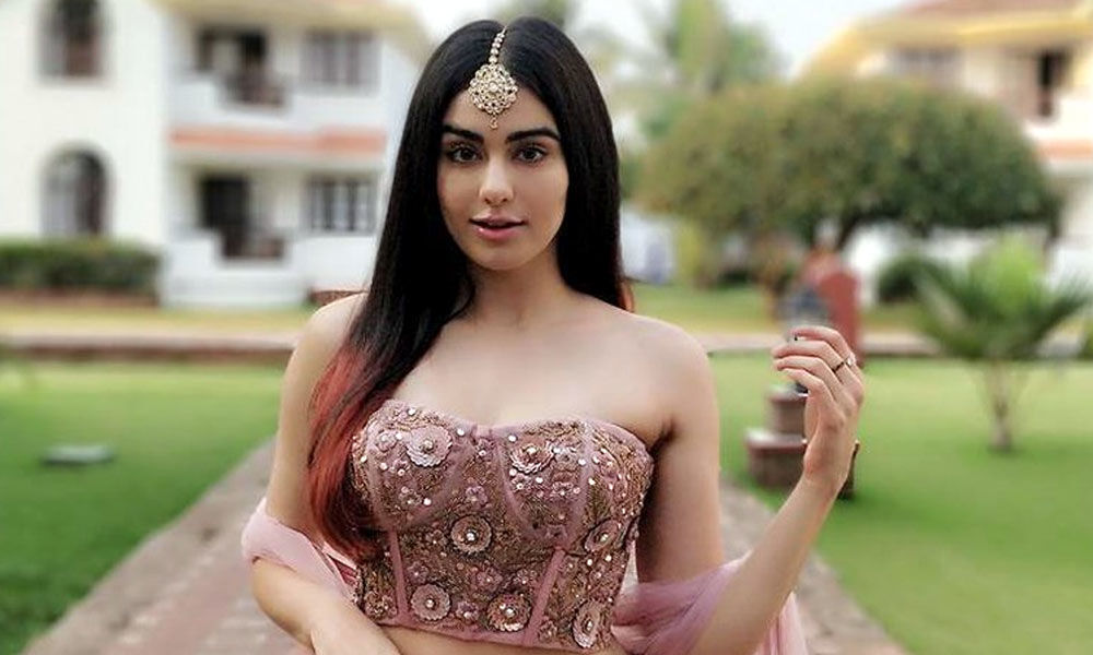 There is no pressure being part of Commnado 3 says Adah Sharma