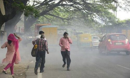 Leaf-litter causes increasing pollution levels in Bengaluru