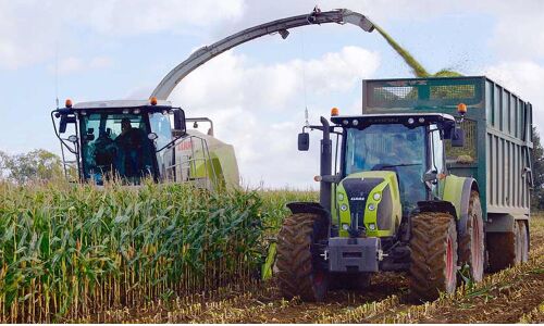 Farmers offered better prices for maize harvest in the market