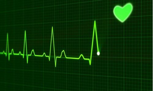 Signals from ear and hand to check heart rhythm