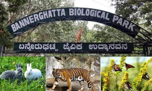 Officials at the BBP take measures to battle the heat