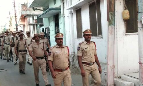 Prank builds momentum for Rally against mosquito menace