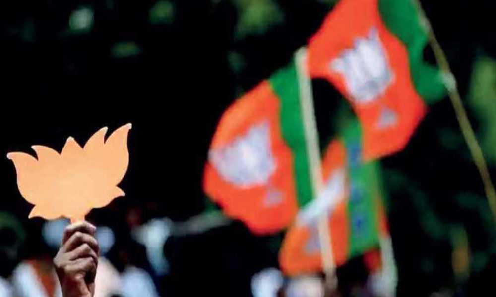 BJP finalises seat-sharing pact in Kerala, to fight in 14 Lok Sabha constituencies