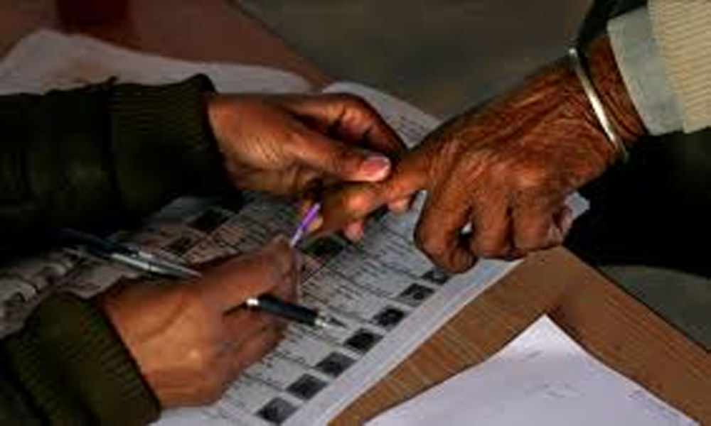 Migrant voters play crucial role in polls