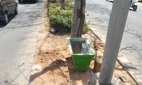 GHMC move to save birds from oppressive heat