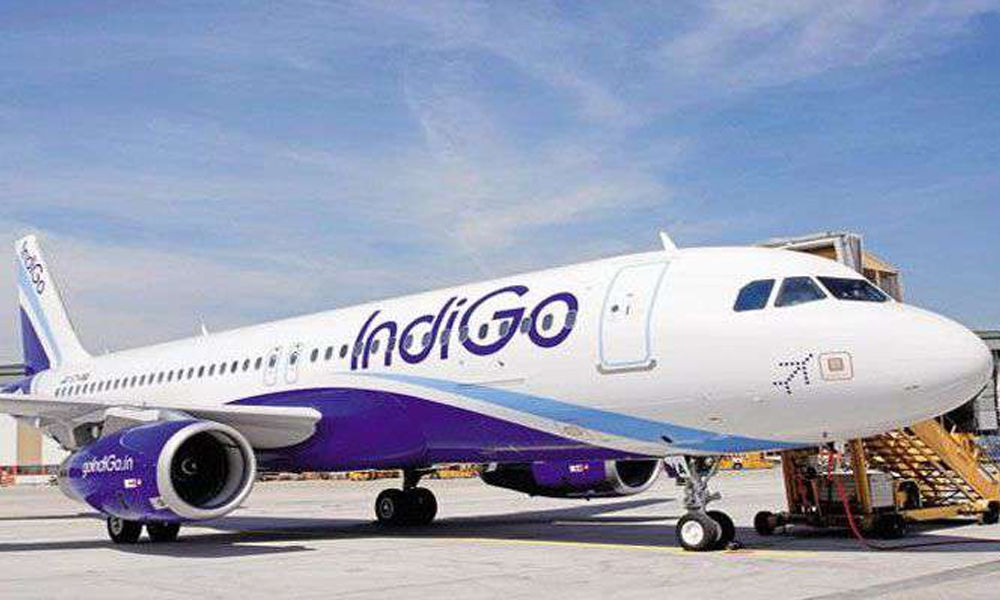 IndiGo continues to recruit out-of-job pilots