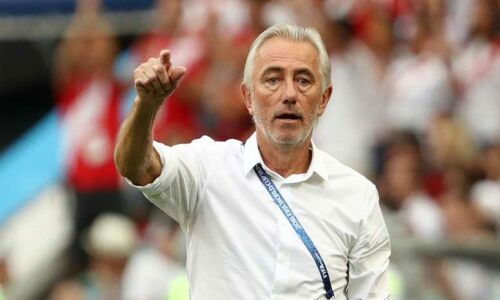 Soccer: Van Marwijk appointed coach of United Arab Emirates
