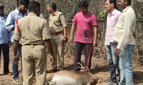 Deer hunt creates tension at Hyderabad University, probe ordered