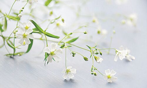 Keep the freshness in you alive