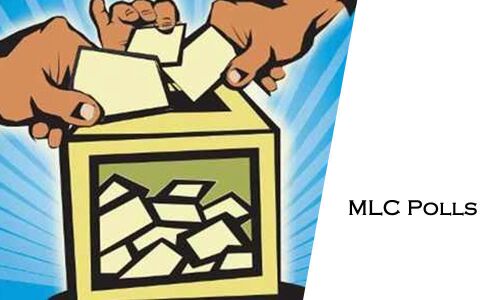 MLC polls for one Graduate, two Teachers segments today