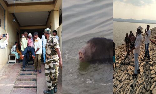 Forest officer injured in attack at Velugodu Reservoir