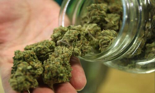Smoking strong pot increases psychosis risks
