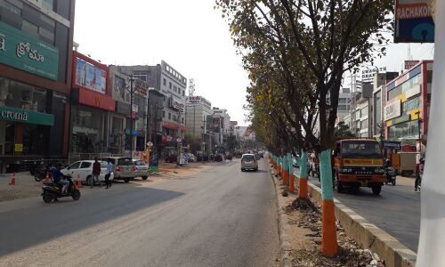 Gaudily painted tree trunks an eyesore